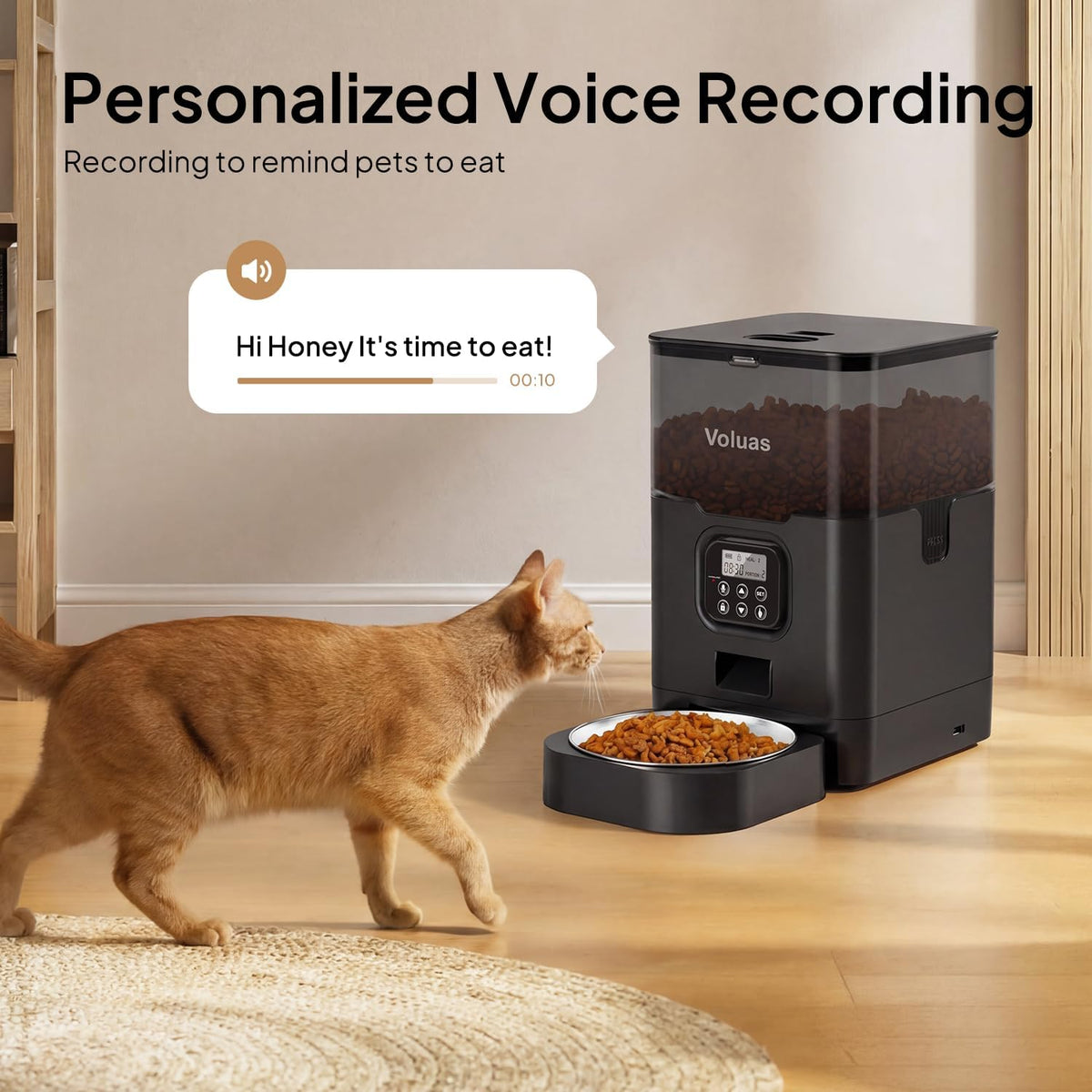 Automatic Cat Feeder, 4L Timed Dry Food Dispenser for Cats & Dogs