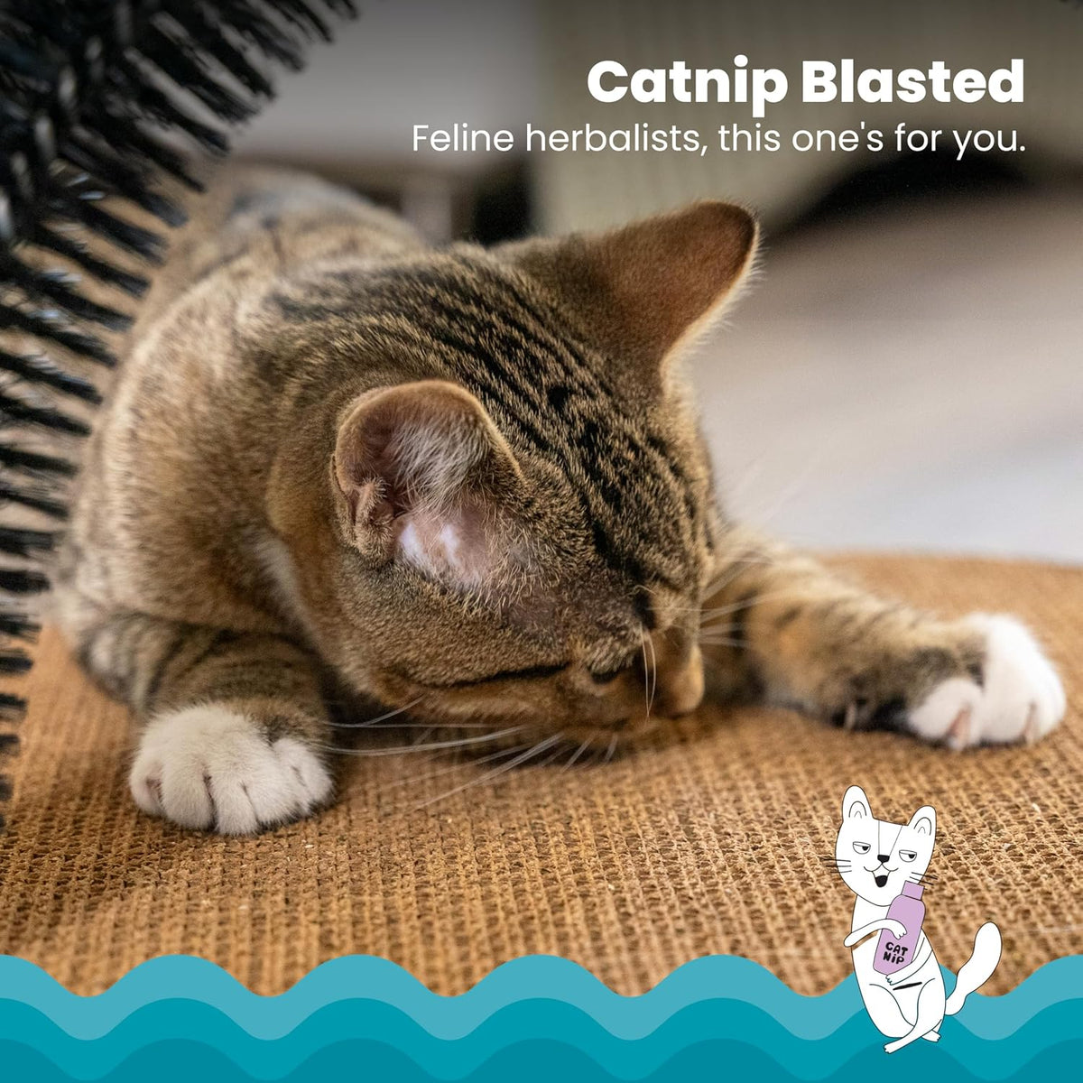 Cat Scratcher with Self-Grooming Brush, 3-in-1 Cardboard Scratch Pad & Lounger, Catnip Infused, 18"