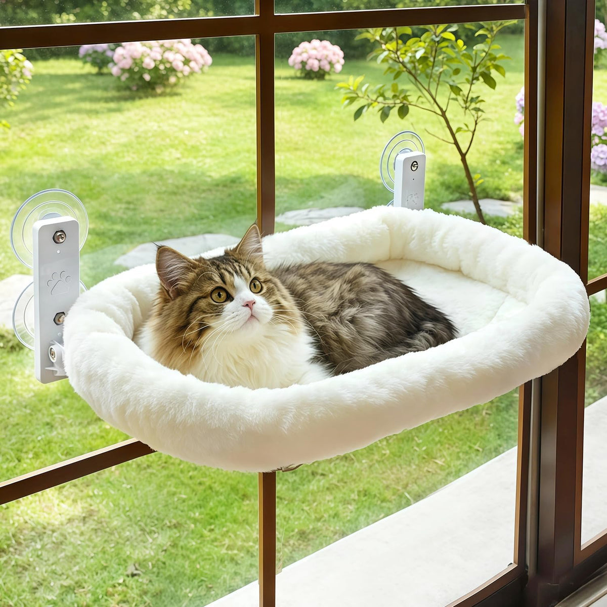 Cat Window Perch, Cordless Hanging Cat Hammock with Cushion Bed, Sturdy Metal Frame, Fits Windows 27"+, White